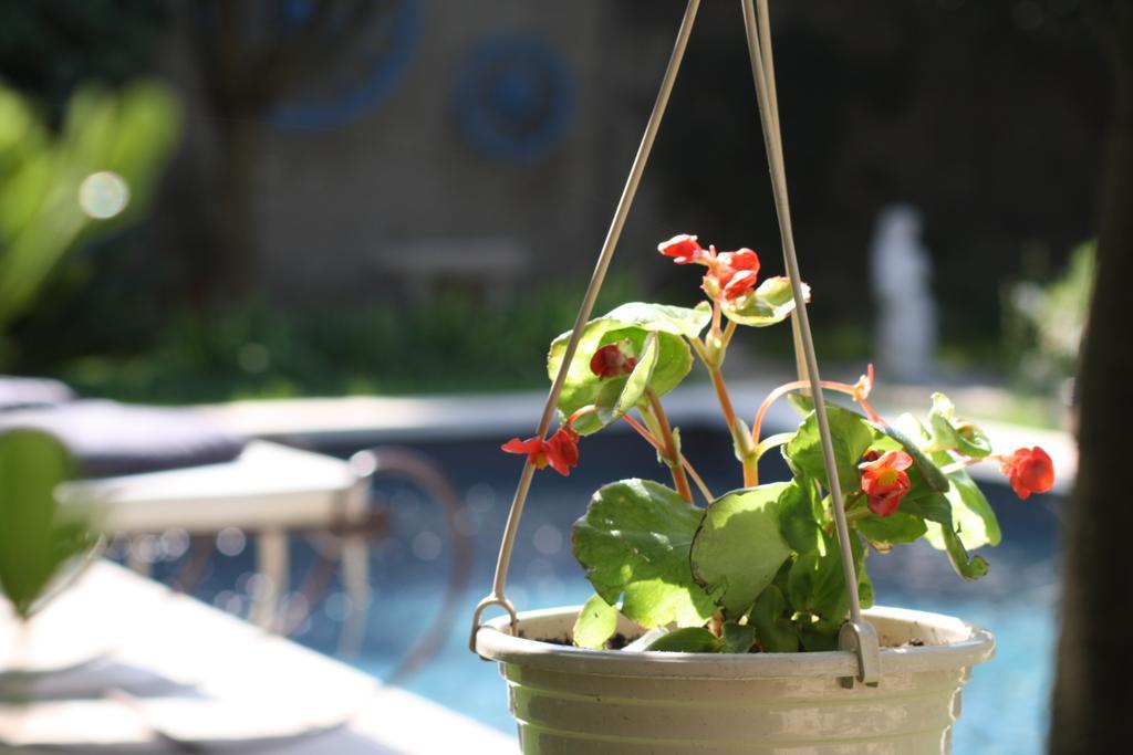 Besse-sur-Issole L'Abri Du Poete B&B 외부 사진