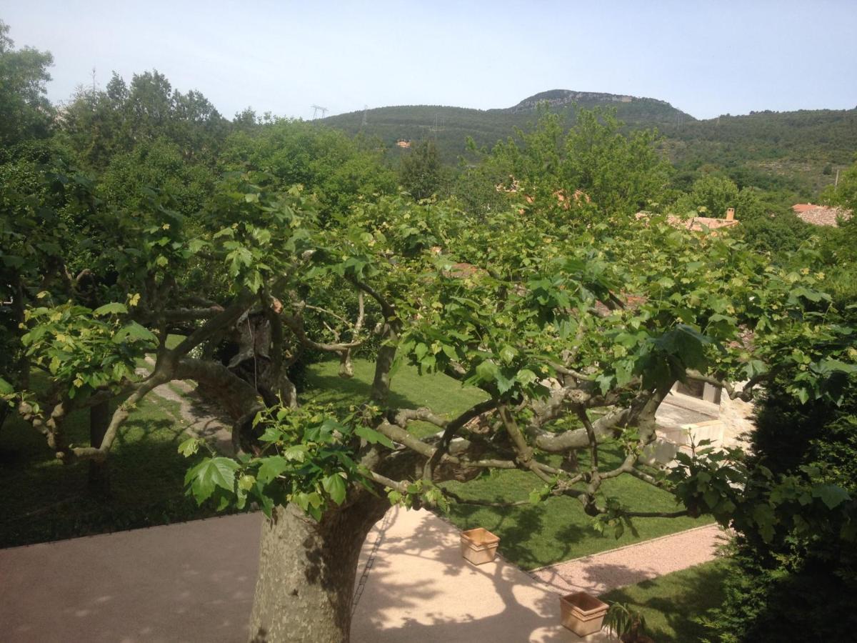 Besse-sur-Issole L'Abri Du Poete B&B 객실 사진