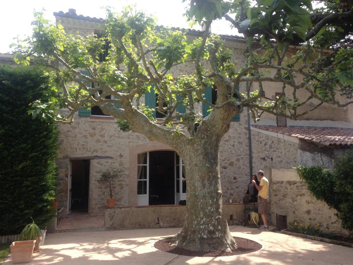 Besse-sur-Issole L'Abri Du Poete B&B 외부 사진